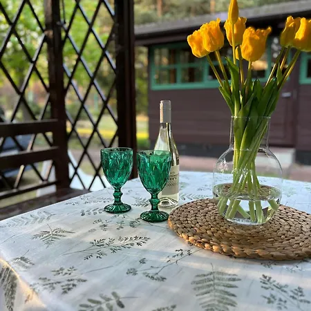 Holiday home Lesny Zakatek Krajeczyn