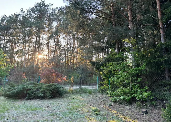 Lesny Zakatek Krajeczyn